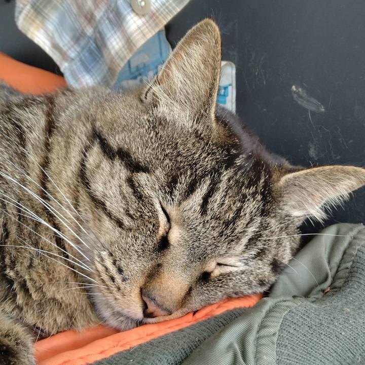 83d11f47 4f26 45c3 8081 71d77bedf404 1685614601471