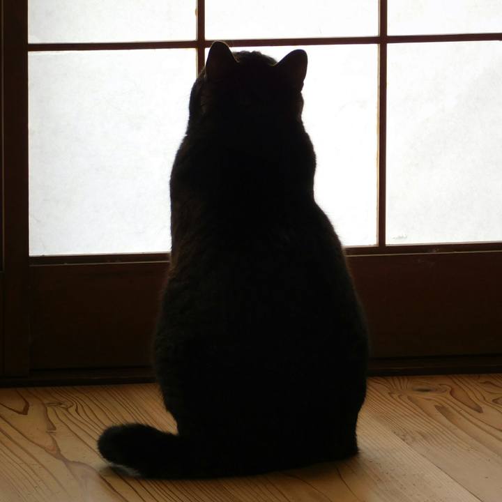 83d19ee7 928e 4dde b7a0 cbe37ca43a94 1524031188134