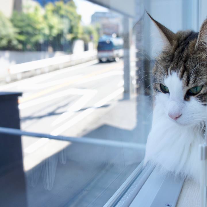 83d1af6e f425 40ae b36b 8820caa95116 1534557898939