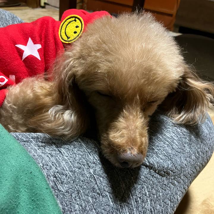 83d1cab5 a21a 40a9 9a04 7a4d03e215fa 1703053440036