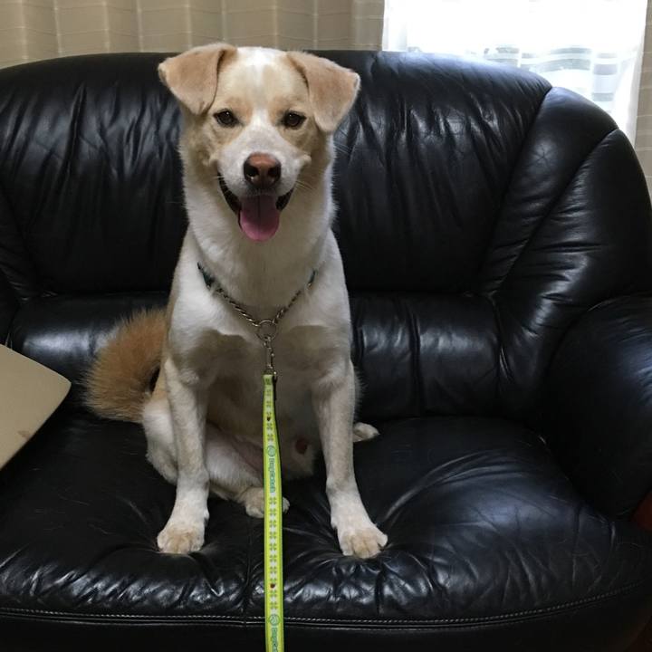 83d1d185 2103 4e28 ac35 388b557c5355 1530145296714