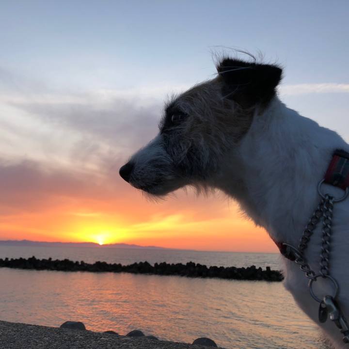 83d1da42 9244 49e4 90f3 eb76d097dffe 1591624805918