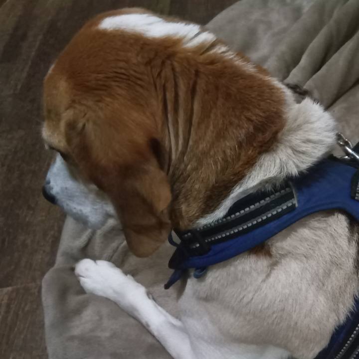 83d20446 78c0 4005 9388 b018fb186f33 1747229246983