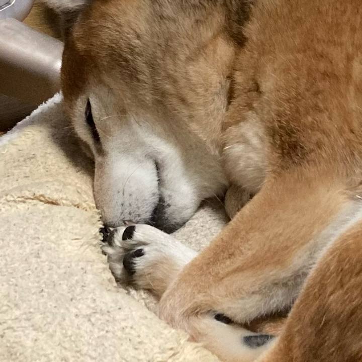 83d228d5 0b72 42ec ad76 b2eeb7a70d2f 1671005420491