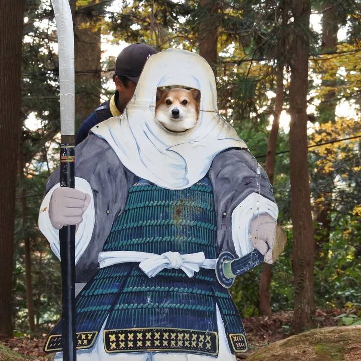 83d25d7f 15bc 4d1d b15a 78348d7bbde4 1732448081561