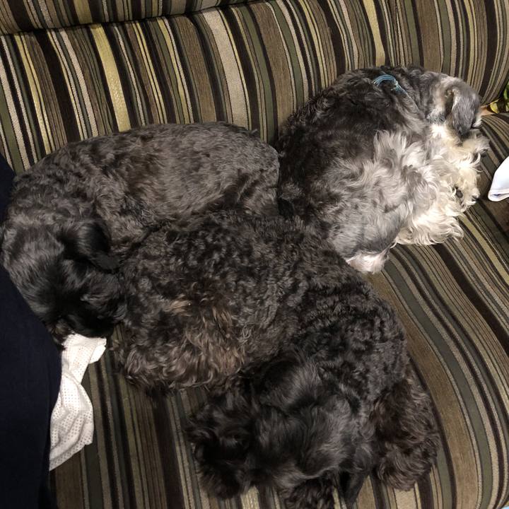 83d263d5 f024 46c0 8509 ba4eb00573f5 1574901950557