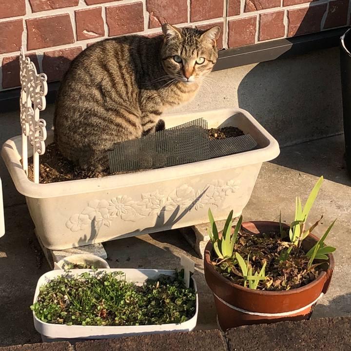 83d2853f 8be6 4f01 86a8 d50674818d45 1519719372299