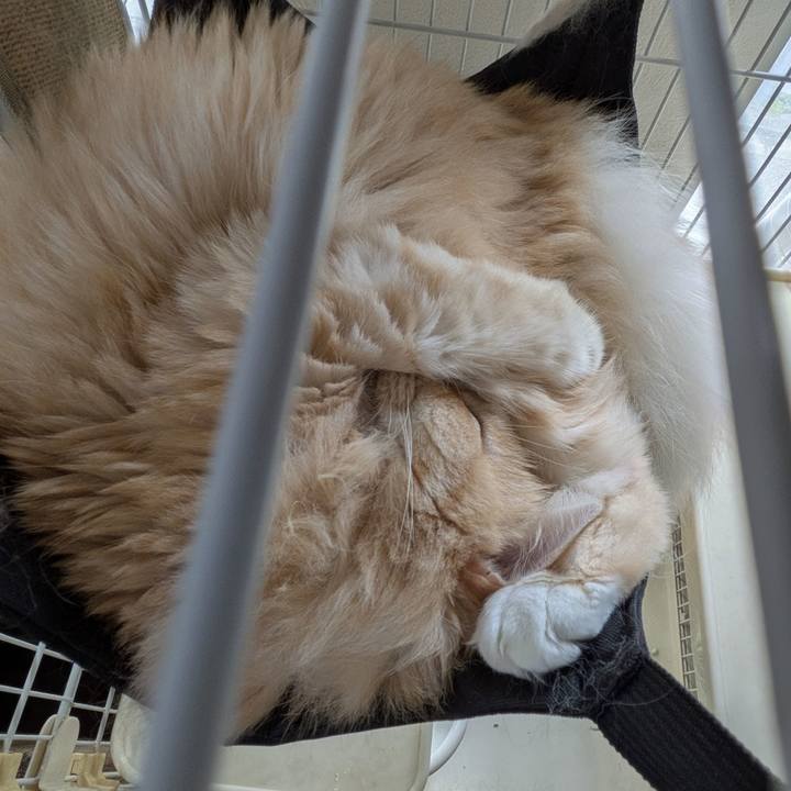 83d28d20 53bb 4df4 80f0 a5fca8ff5cfb 1757819629986