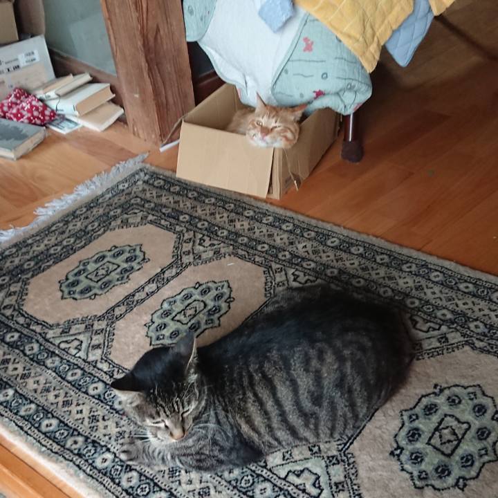 83d2bec5 4b36 4116 9bb8 1db486faab21 1660466088430