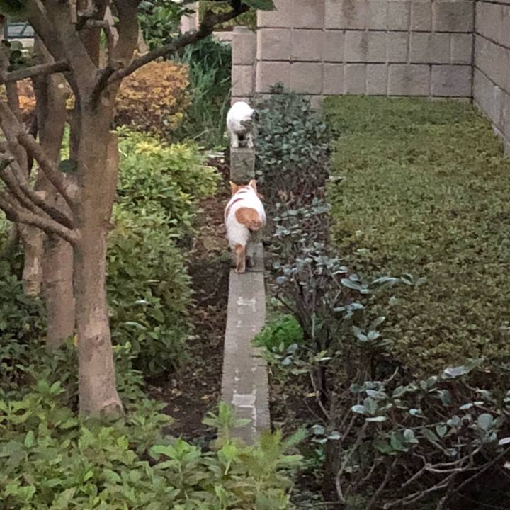 83d2e6f6 1c82 4463 bd43 343df2b96f88 1515615956380