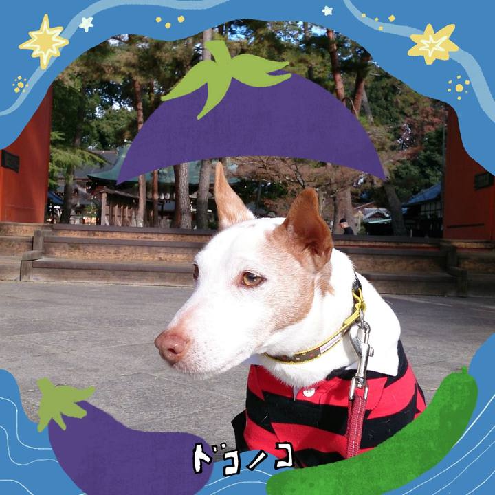 83d30943 dd9e 4627 8a33 4e44d98321c4 1755055298882