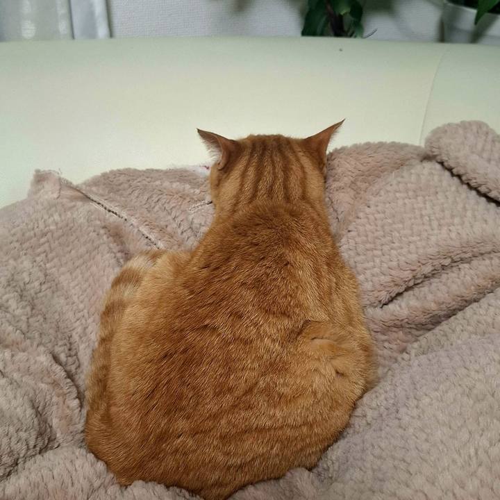 83d321a6 40c1 481d aea8 b4db926a4376 1750821053243