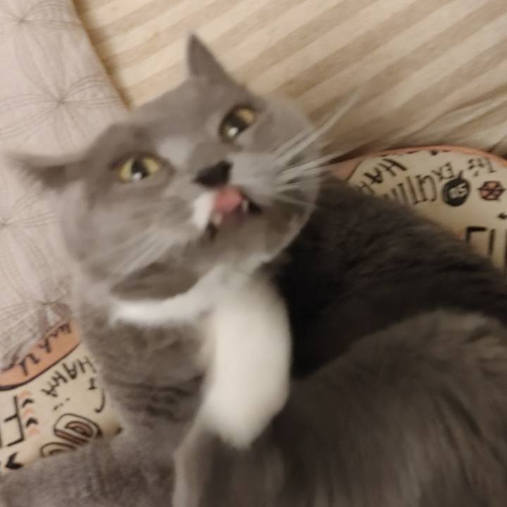 83d367aa 6783 463e a314 b009b2d7f85f 1611655858662