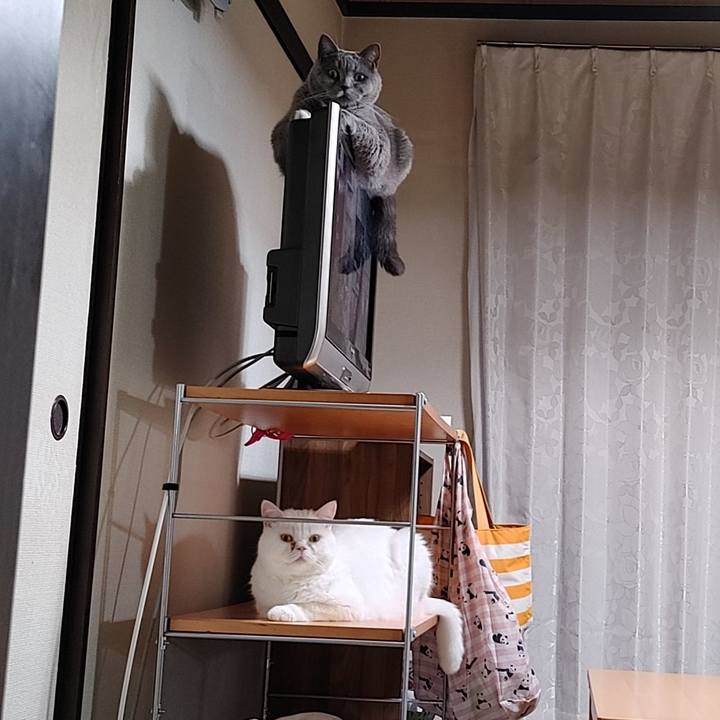 83d46750 ed37 4e1e bad8 08e13f64e605 1638793976684