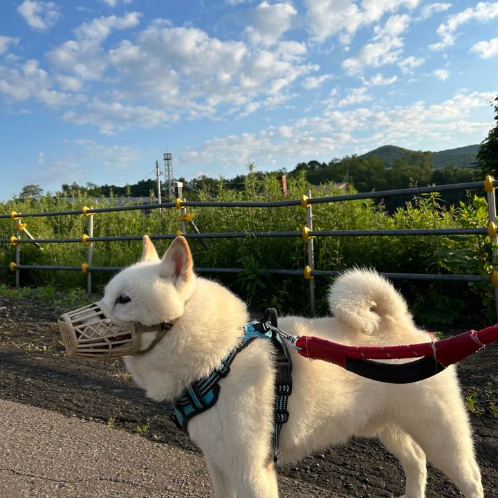 83d472dd 11de 468b ab39 f14ad50f4179 1719521694428