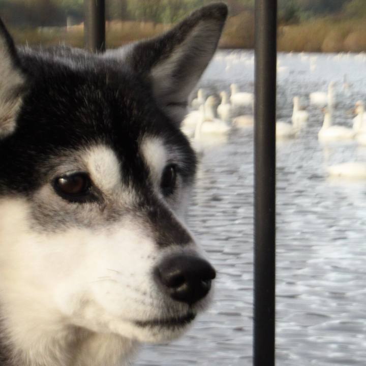 83d4892c 169a 49a1 ac19 89f7e297283e 1765073370425