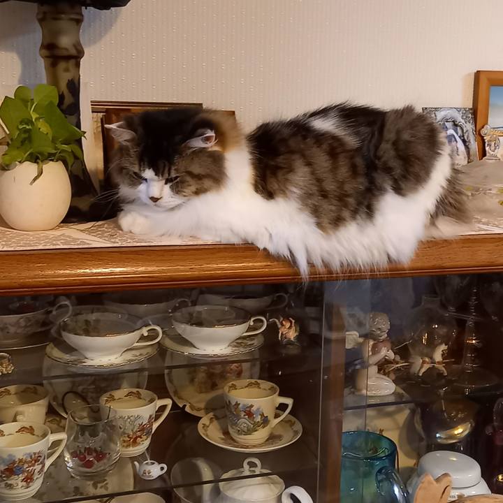 83d4ac15 ceb1 40e2 b082 3d9cce393183 1638483015183