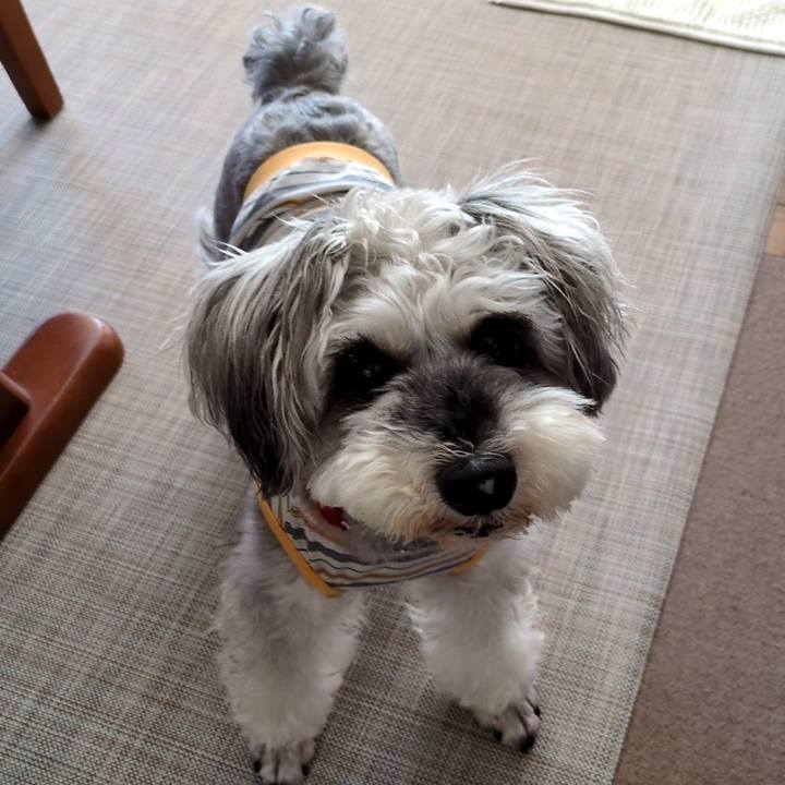 83d4b17b eb26 4700 9ece 9ab299aaf41f 1753771892630