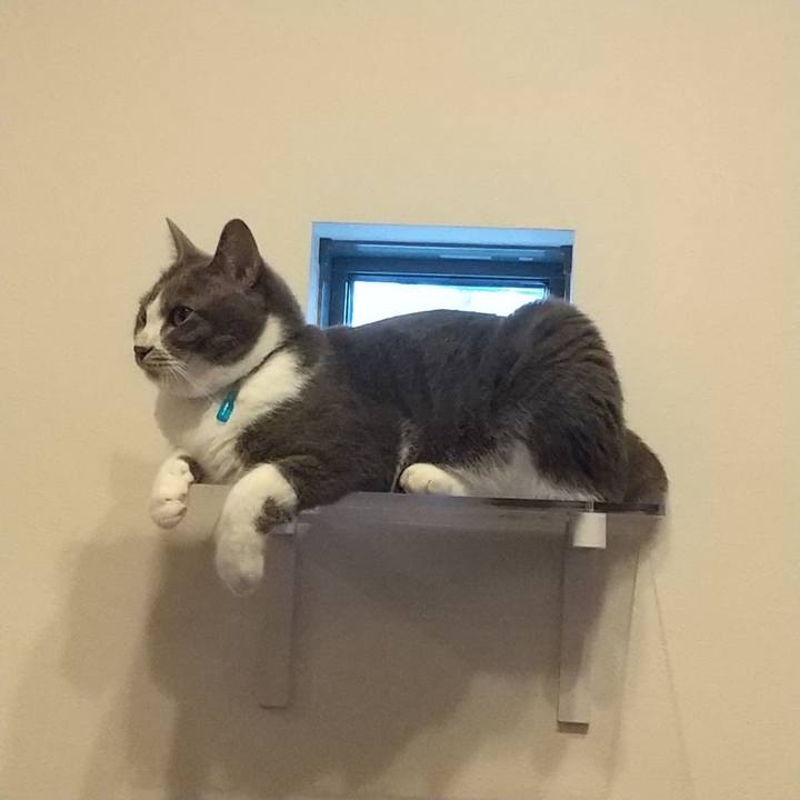 83d4b6a7 05e8 4d46 9978 d2734996136e 1625405739219