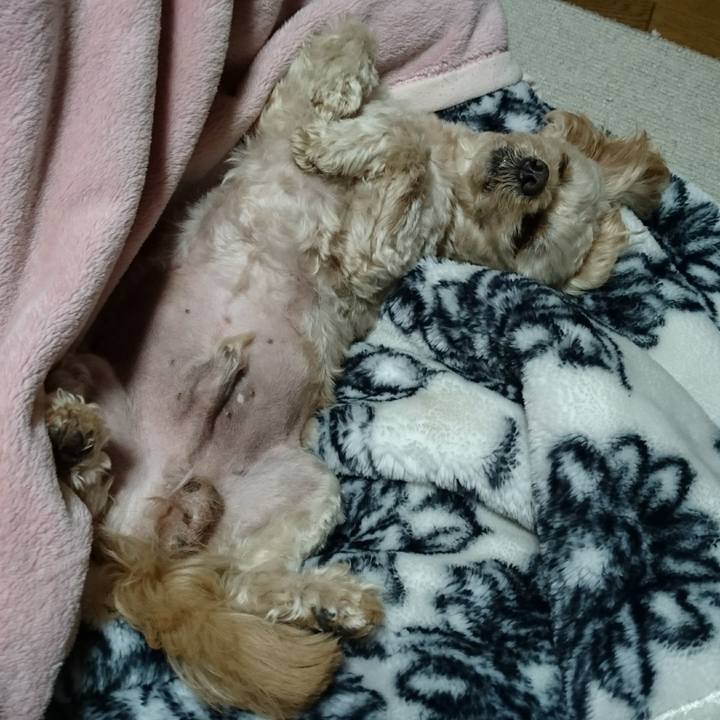 83d4fcb7 fa73 46a1 b76e a40d40d3a8ce 1575297870517