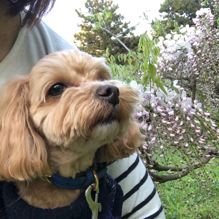 83d56c7d 5744 4c54 aa19 11b26f75a155 1681032641902