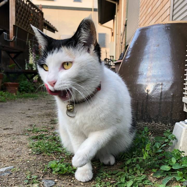 83d58c3c 1ad0 45db 80c5 3f80d1da3196 1616105659509