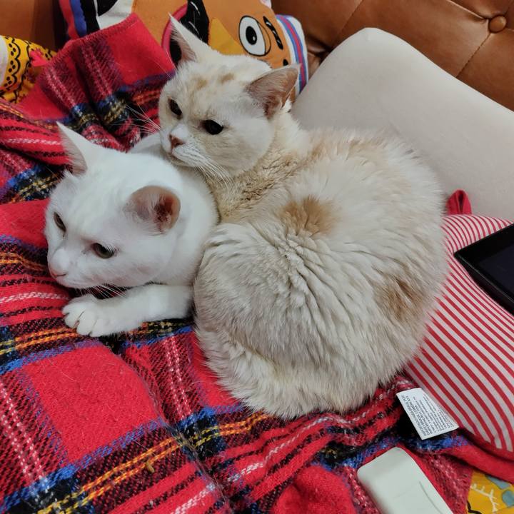 83d58f3b cf97 4591 92aa 663c64582bbe 1710084152309