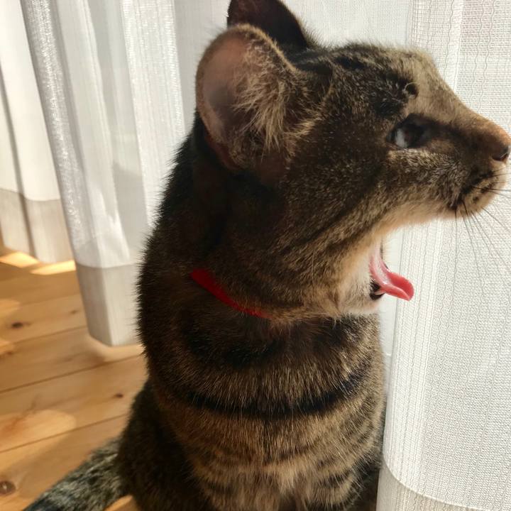 83d59321 2603 4f8d 890d e19e009c3186 1548286333545