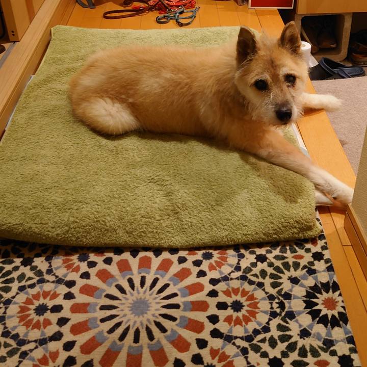 83d5b396 7444 4be0 bce8 bd8137ae9ddf 1630501369377