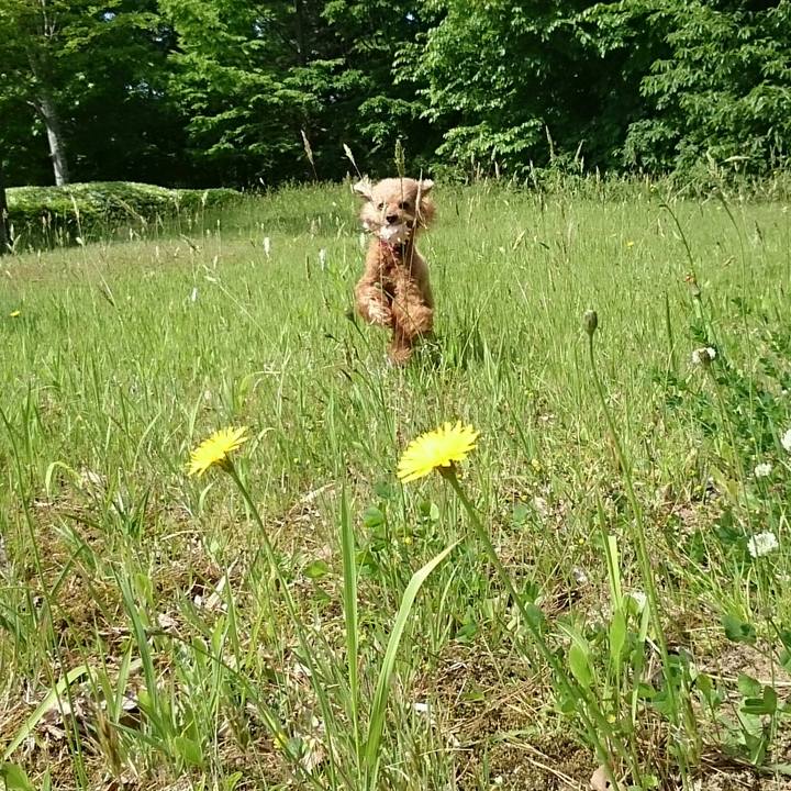 83d5b39e d722 4912 ad9a ab92c58c8b0b 1526948319962