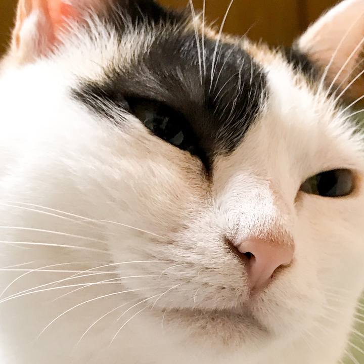 83d5b783 fa4c 47bc 96b6 398cd4b855d8 1526737371928