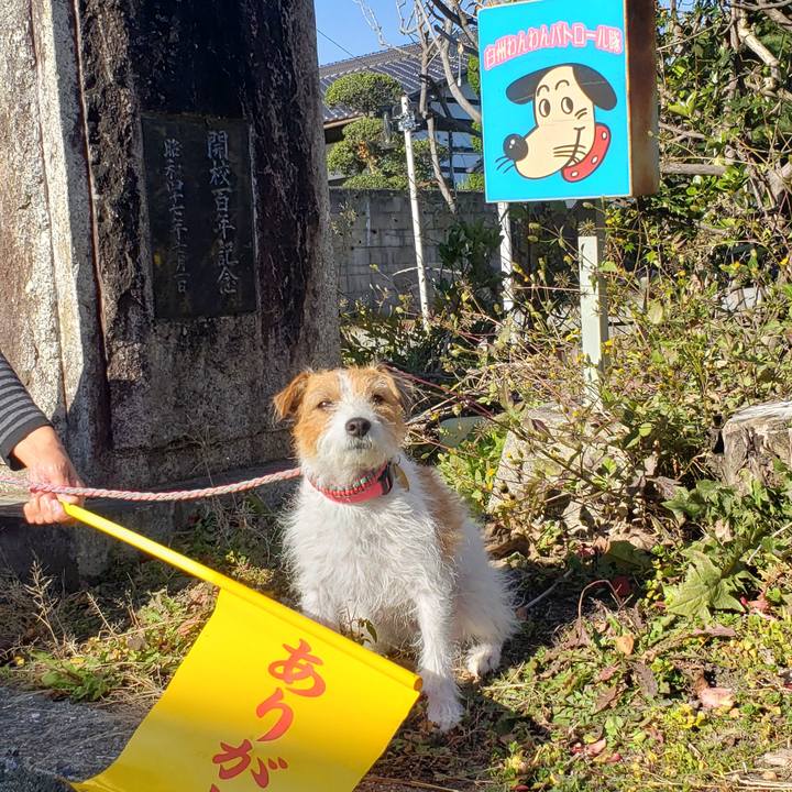 83d67bd1 77b2 46fa 9cb1 b5e5d304d1d5 1637377329025