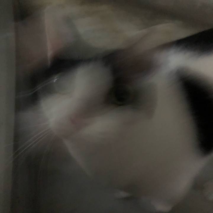 83d69325 7434 4518 aca8 d308a5e7c75b 1619520807012