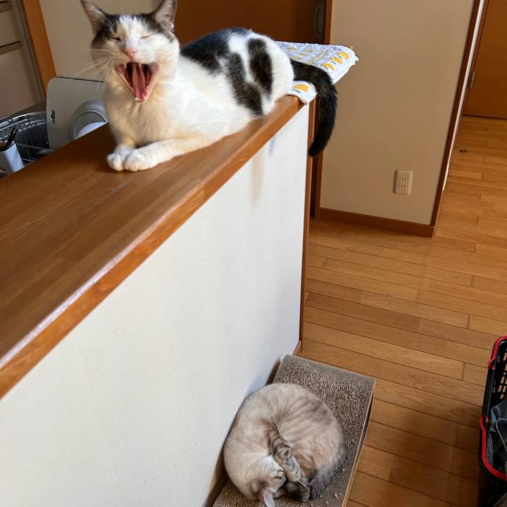 83d6b5e2 e97d 4cbc b71c cf405e4b33ee 1755765561352