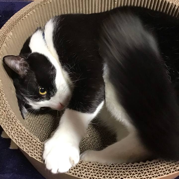 83d6bdaf 4300 4596 afc3 ec9f21ec701e 1710928627623