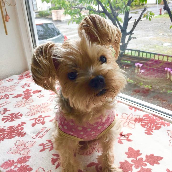 83d6dbb8 ff0f 44c8 a91f 21c075f267f4 1538433293544