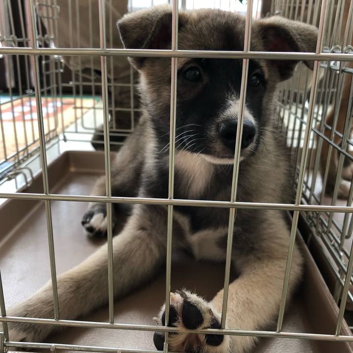 83d71c71 dfb8 4385 b732 12001ab49dec 1565485402671