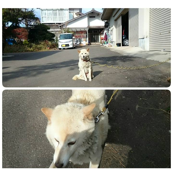 83d724e9 979b 4931 8dae 102397ede666 1512094128894