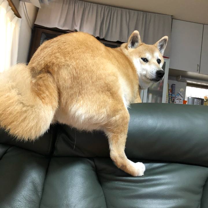 83d7589f 5d4d 4413 b23b 9c03f6864841 1581599278790