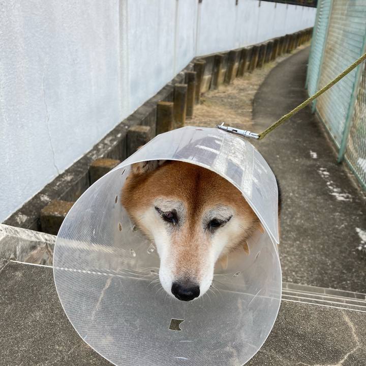 83d78064 aae4 45c7 afae fcb283438983 1667618910335