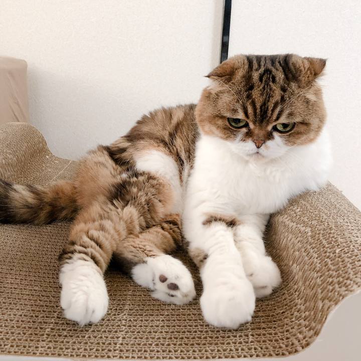 83d7a279 b947 4978 a0b3 aba1831ce426 1566362329593