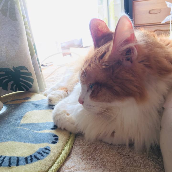 83d7fbd5 846b 45f9 918c 47f6bc104501 1571449755564