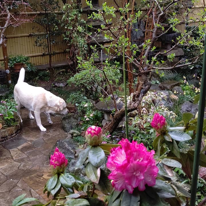 83d821c4 a5da 4063 b582 3909bcb62034 1647953761340