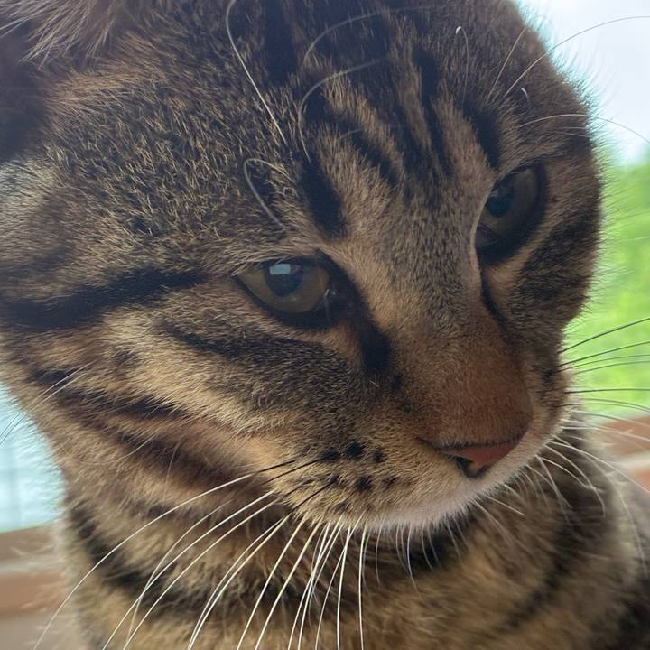 83d85efb 64dc 49b6 8d16 6e065eee7aa7 1747901277971