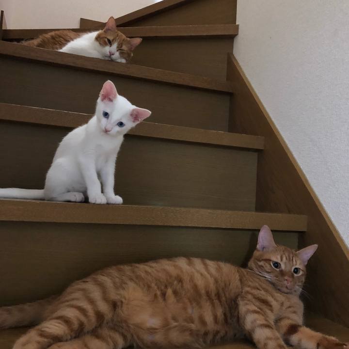 83d8bd11 a53e 49d5 943c f1dd7b608040 1533594629739