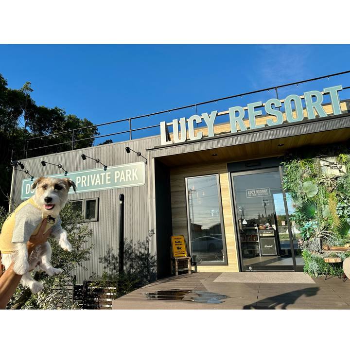 83d8cd63 f67a 4485 af2a 1147cd02e2b7 1695546681938