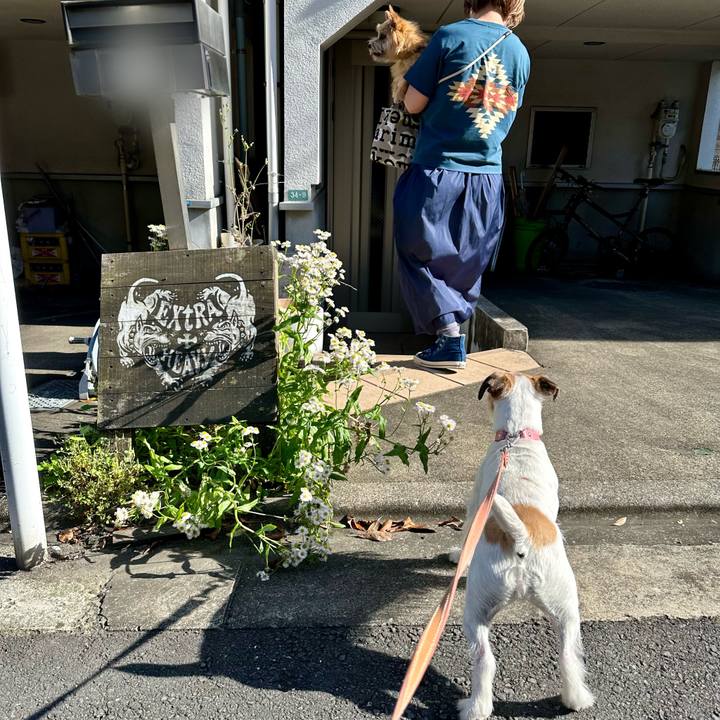 83d8ef07 6194 4aae a8e9 19d4cf4e368a 1714744167048