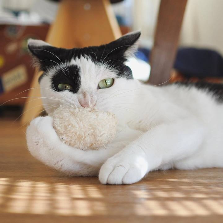 83d8f6d0 7d1f 4a27 b988 7d974a357962 1620030459939