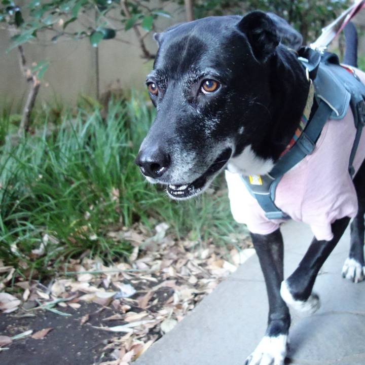 83d8fc5a 9c7b 4714 a6b0 e397ed6ada06 1735775866552