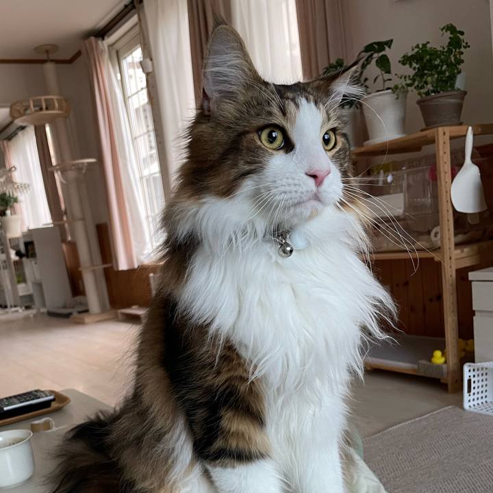 83d8fe39 ec27 4c40 8d8d 11a5436e5ece 1652299166181